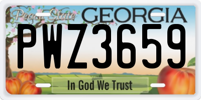 GA license plate PWZ3659