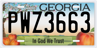 GA license plate PWZ3663