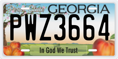 GA license plate PWZ3664