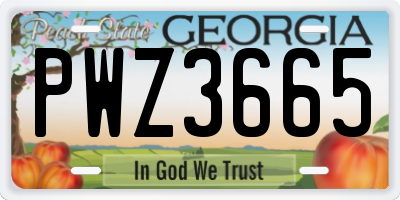 GA license plate PWZ3665