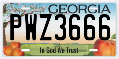 GA license plate PWZ3666
