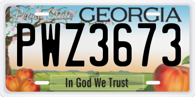 GA license plate PWZ3673