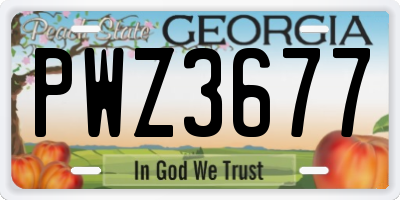 GA license plate PWZ3677