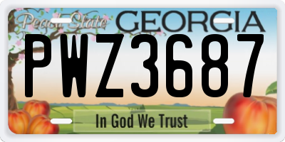 GA license plate PWZ3687