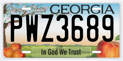 GA license plate PWZ3689