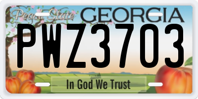 GA license plate PWZ3703