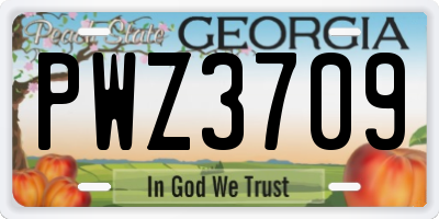 GA license plate PWZ3709