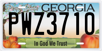 GA license plate PWZ3710