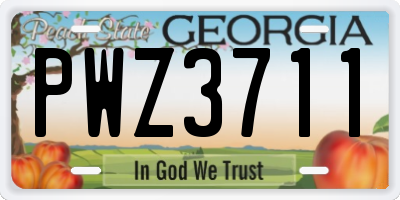 GA license plate PWZ3711