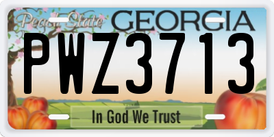GA license plate PWZ3713