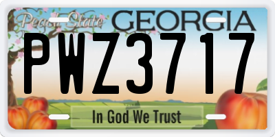 GA license plate PWZ3717