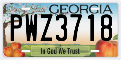 GA license plate PWZ3718