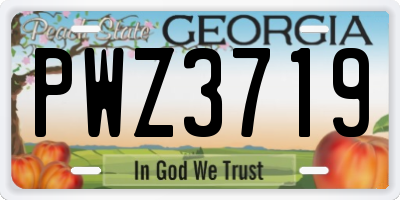 GA license plate PWZ3719