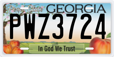 GA license plate PWZ3724