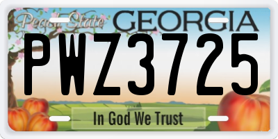 GA license plate PWZ3725