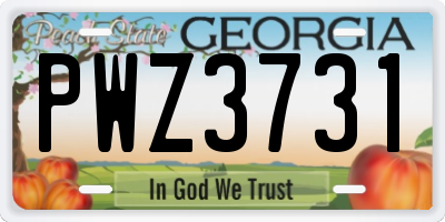 GA license plate PWZ3731