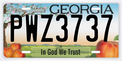 GA license plate PWZ3737