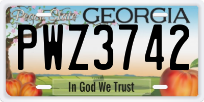 GA license plate PWZ3742