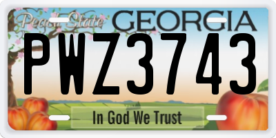 GA license plate PWZ3743