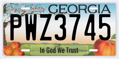 GA license plate PWZ3745