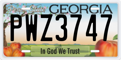 GA license plate PWZ3747