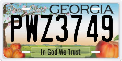 GA license plate PWZ3749