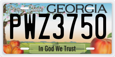 GA license plate PWZ3750