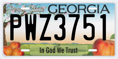 GA license plate PWZ3751