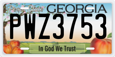 GA license plate PWZ3753