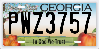 GA license plate PWZ3757