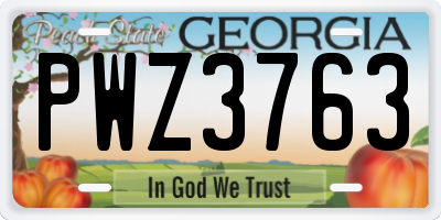 GA license plate PWZ3763
