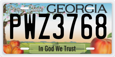 GA license plate PWZ3768