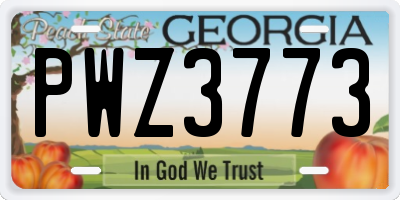 GA license plate PWZ3773