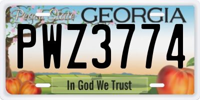 GA license plate PWZ3774