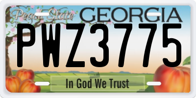 GA license plate PWZ3775