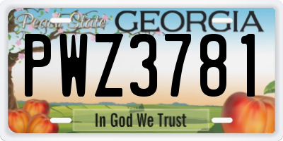 GA license plate PWZ3781