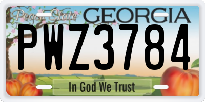 GA license plate PWZ3784