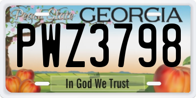 GA license plate PWZ3798