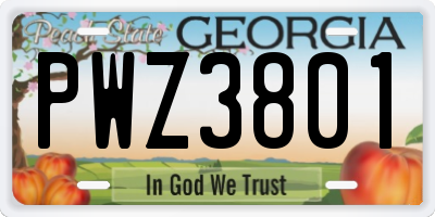 GA license plate PWZ3801