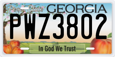 GA license plate PWZ3802