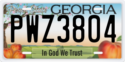GA license plate PWZ3804