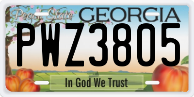 GA license plate PWZ3805