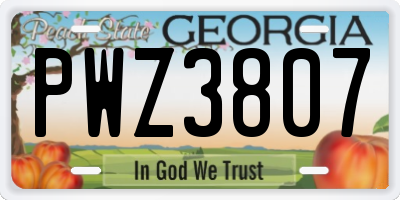 GA license plate PWZ3807