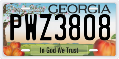 GA license plate PWZ3808
