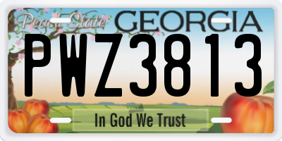 GA license plate PWZ3813