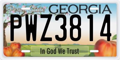 GA license plate PWZ3814