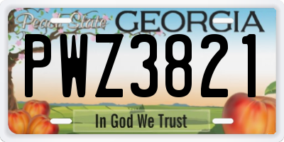 GA license plate PWZ3821