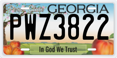 GA license plate PWZ3822