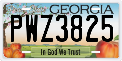 GA license plate PWZ3825