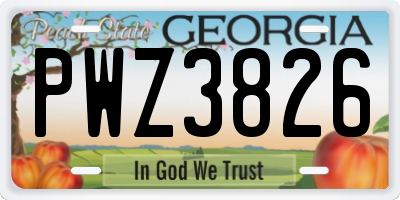 GA license plate PWZ3826